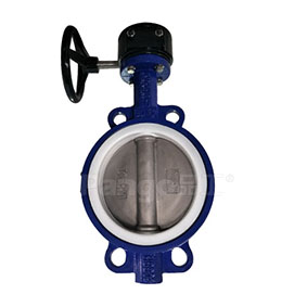 蜗轮衬四氟对夹蝶阀